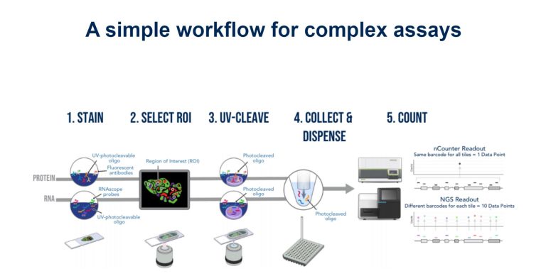 NanoString GeoMX Digital Spatial Profiler (DSP) | CCR Genomics